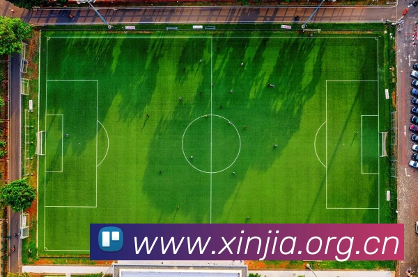 米兰app网页版登录入口平台生态图