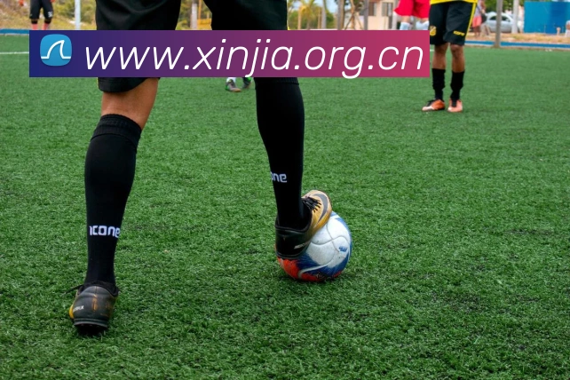 米兰app网页版登录入口APP 封面图